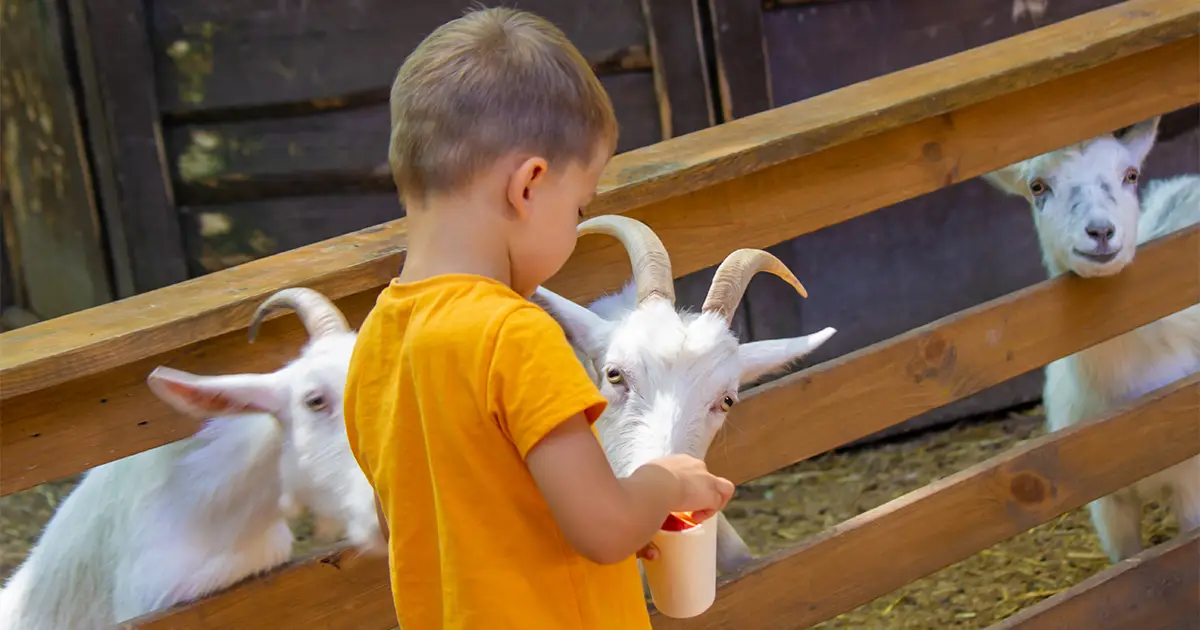 Dubai Safari Park (Lesser-Known Sections)