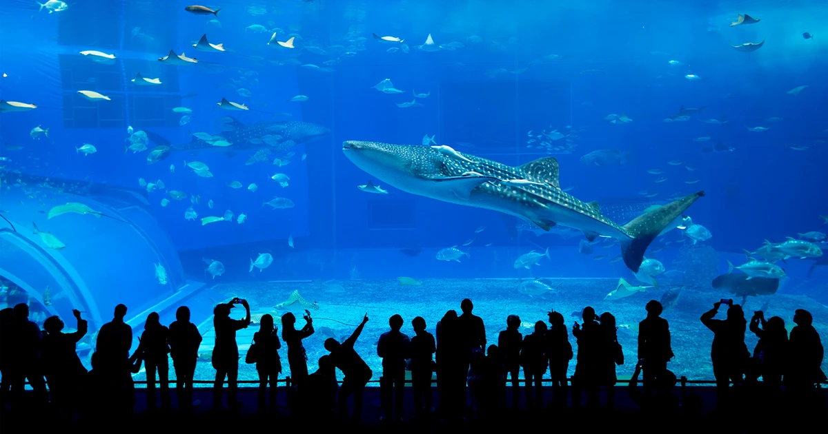 Places to Visit in Dubai for Free