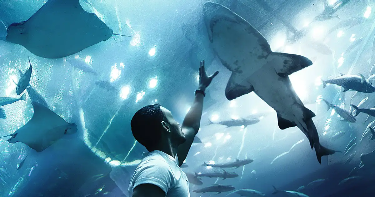 Dubai Aquarium 