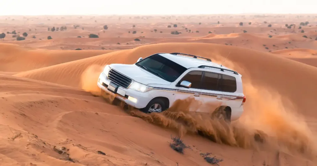 3.Dubai Desert Safari Experience