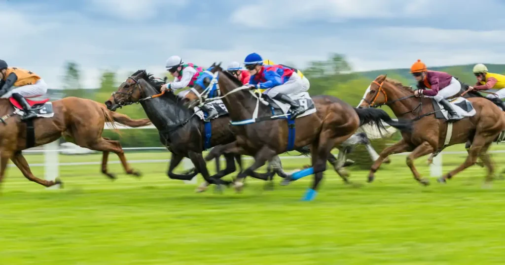 3.Dubai World Cup Horse Racing