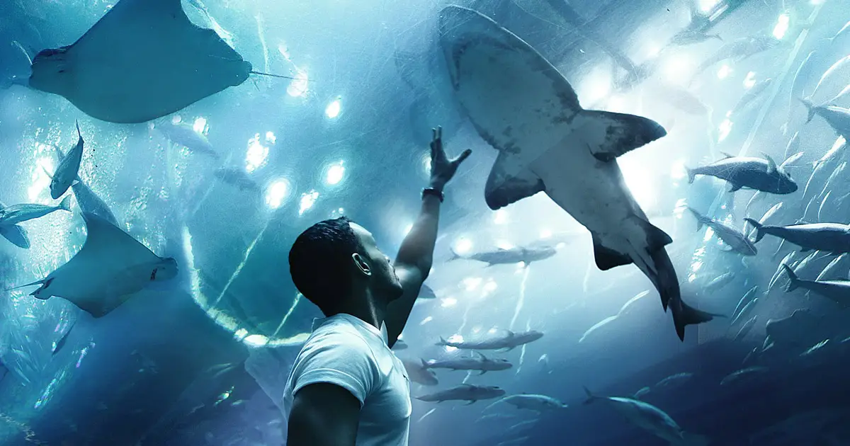 Places to Visit in Dubai with Family
