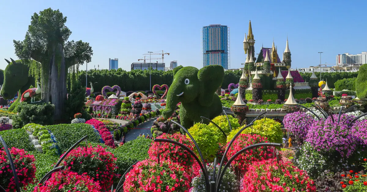 Top Public Parks in Dubai: Green Escapes in the Heart of the City